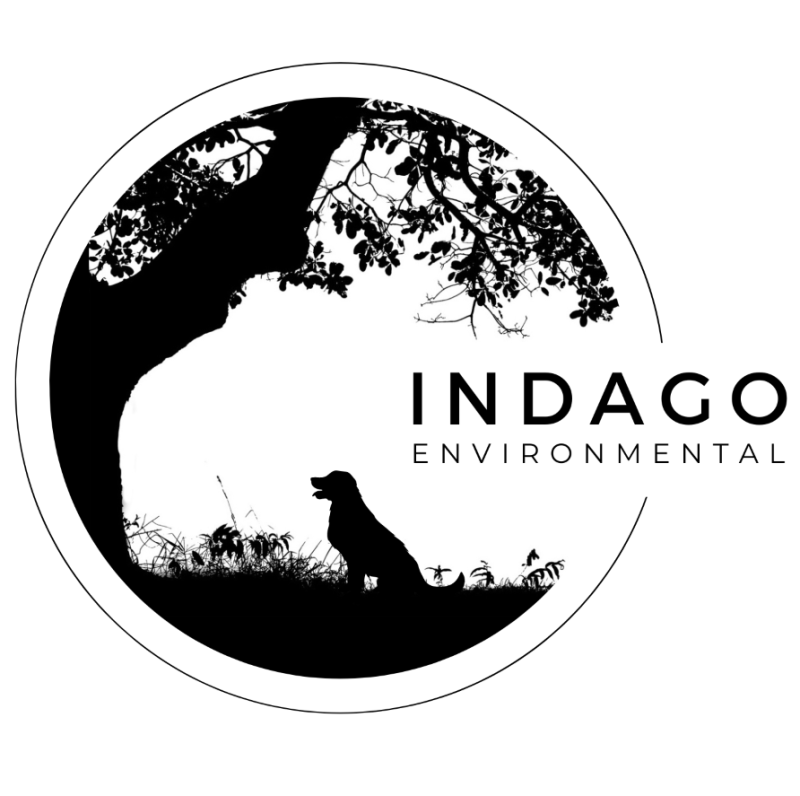 Copy of indago resized