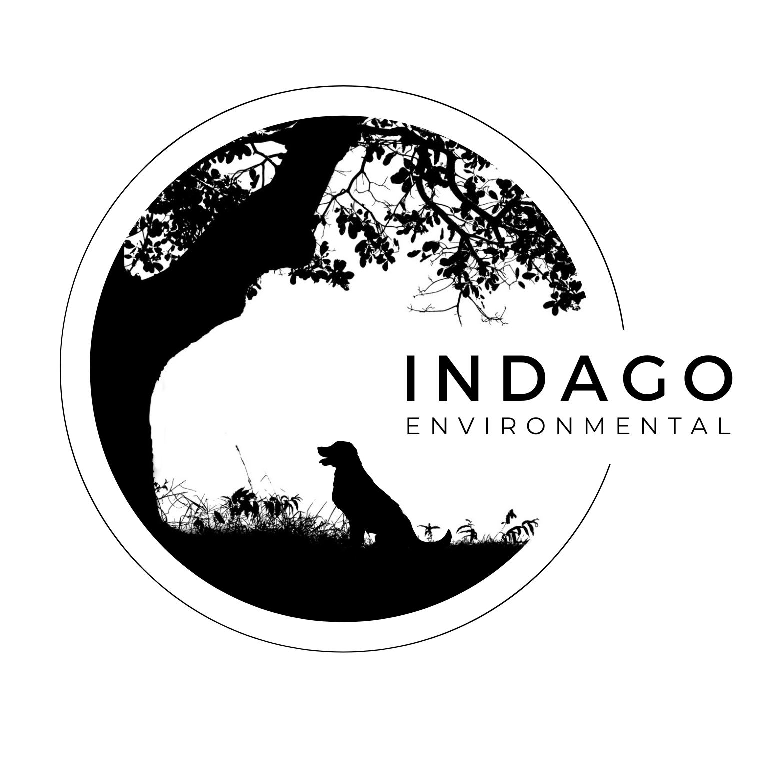 Indago Environmental
